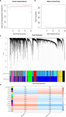 Prognostic value of lncRNAs related to fatty acid metabolism in lung adenocarcinoma and their correlation with tumor microenvironment based on bioinformatics analysis